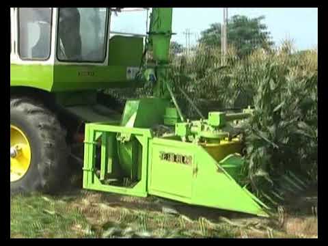 Working status of high-efficiency corn stalk silage harvester