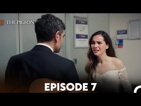 The Pigeon Episode 7 (FULL HD)