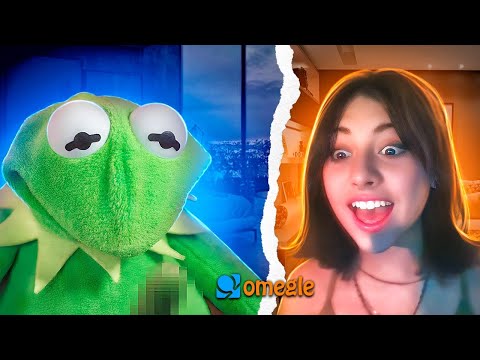 Kermit got that rizz on Omegle