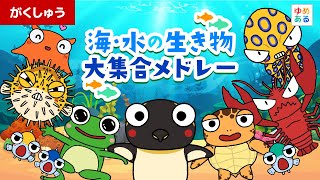 「海・水の生き物」大集合メドレー♪🐧🦈🐠