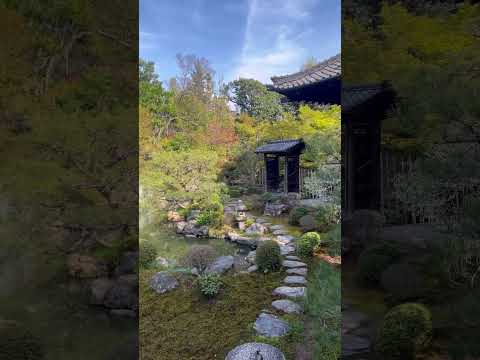 【4K】Ryosokuin-garden , Kenjin-ji, Kyoto〜京都 建仁寺 両足院〜