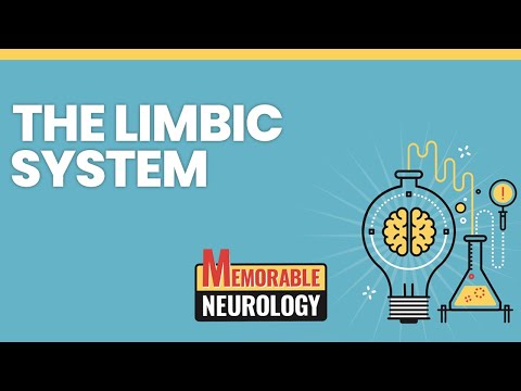 Limbic System Mnemonics (Memorable Neurology Lecture 2)