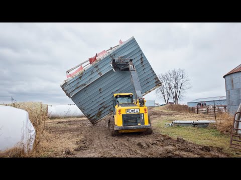 Windbreaks For The Cows - JCB 3TS-8T