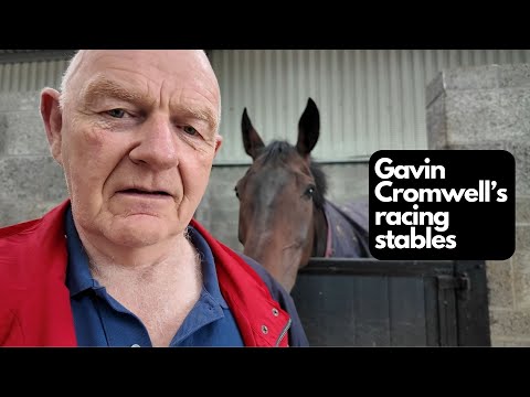 An open morning at Gavin Cromwell's racing stables | Terry Gorry Vlog