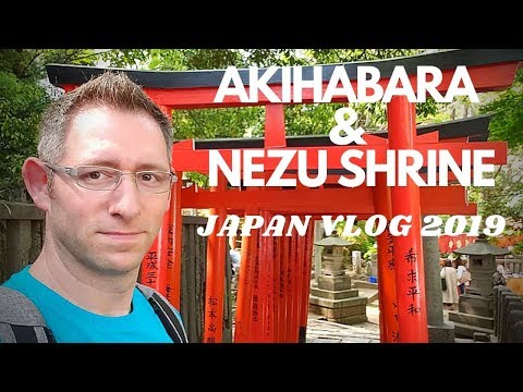 Japan Travel Vlog - Akihabara & Nezu Shrine⛩