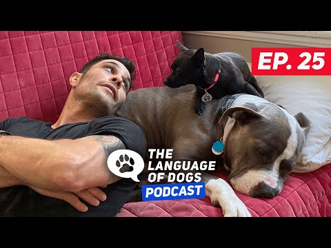 The Language of Dogs Podcast EP.025  "DOG DAYS OF WINTER" W/ Justin Silver and Kristen Hartley