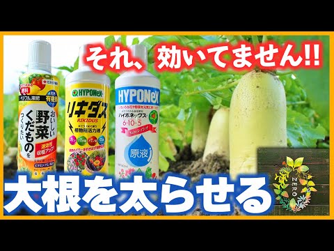 【肥料の比較】大根を太く育てるおすすめの液肥ってどれ？【大根栽培】