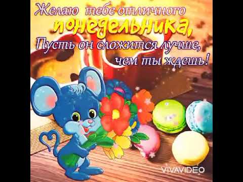 Доброго Утра🌞 Понедельника! 🌈/Удачной и Позитивной Недели! 🐵🌺🦔