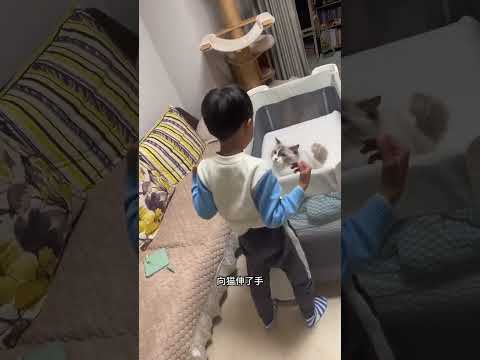 我家猫不小心咬了孩子，猫咪也因此付出了严重的代价… #猫和宝宝的日常 #萌娃和萌宠