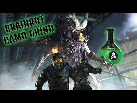 directed mode camo grinding (brainrot)