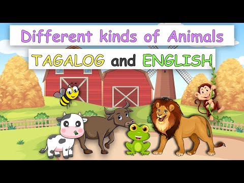 English-Tagalog NAMES OF ANIMALS || Different Names of Animals ENGLISH and TAGALOG