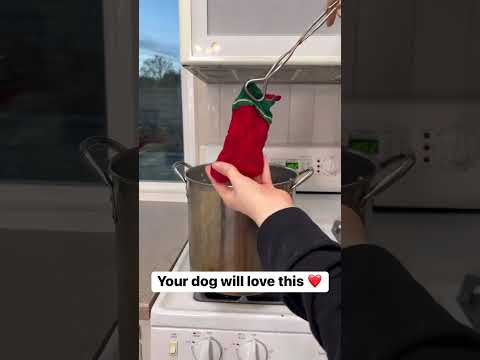 do this if you love your dog 🐶 #doggies #christmasdog #christmashacks