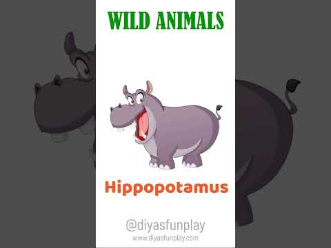 animals for kids - #shorts - wild animals with pictures for kids and children - #diyasfunplay