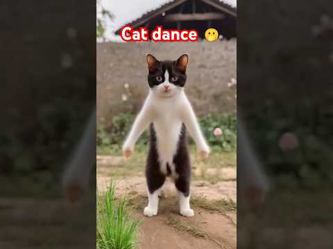 Cat Dance😂 #shorts #cat #pet #dance #comedy #Santosh Cat Billi #short video viral #music  नाचके दिख