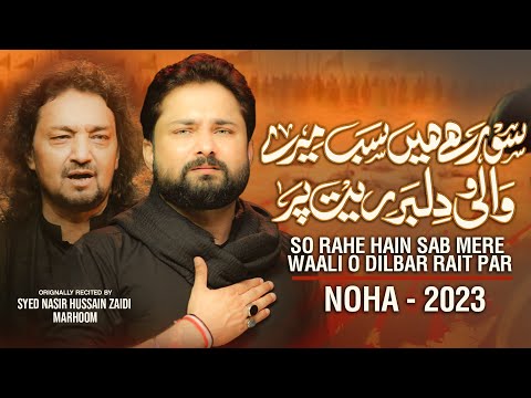 Nohay 2023 | So Rahe Hain Sab Mere Waali o Dilbar Rait Par | Syed Raza Abbas Zaidi | Muharram 1445