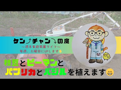 【枝豆】・【ピーマン】・【パプリカ】・【バジル】を植えます😁