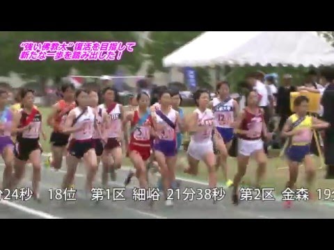 佛教大学陸上競技部　女子中長距離部門　2015年度活動の記録