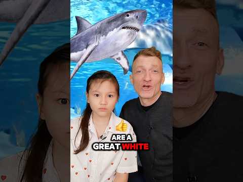 Great White Sharks | Nature's Wonders | STEM with Ailani's Little World