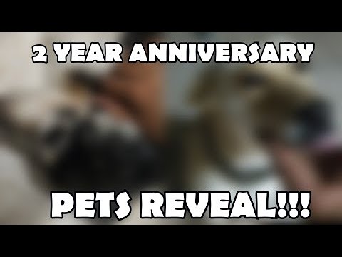 Pets Reveal!!【2 Year Anniversary Special】