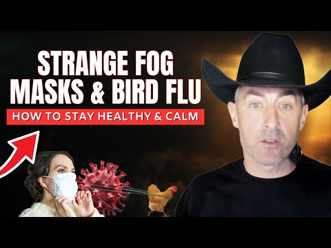 Strange Fog, Bird Flu & Masks - How To Stay Healthy And Calm | Tim James