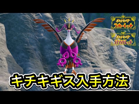 【ポケモンSV】キチキギスの入手方法！出現場所を教えます