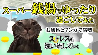 【40代独身友達なし】休日のスーパー銭湯は最高！！