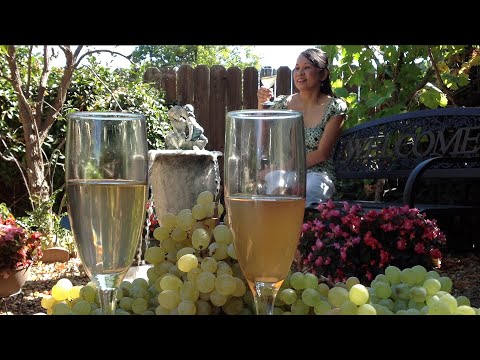 How To Make White Wine-Fermenting Grapes To Alcohol Recipe