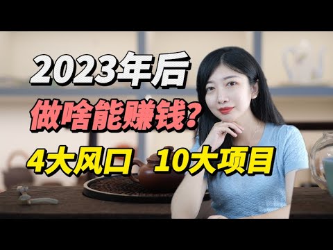 2023年后，最赚钱的4个风口赛道+10个细分项目，低成本，高利润，创业，赚钱，做副业，必看！