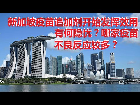 新加坡疫苗追加剂施打进度如何？追加剂在他国的效率如何？又有何隐忧？新加坡各大疫苗不良反应的比例如何？人民分组进行差异化管理，能为抗疫做出更大贡献？一味坚持冠病清零，会否剥夺人民形成自然群体免疫的权力？