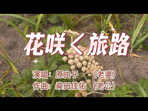 港台翻唱【飘雪】---日本原曲【花咲く旅路】中文：花開的旅途  演唱：原由子   作曲：她的丈夫 桑田佳佑    悠揚的曲調  輕鬆地旋律  猶如音樂SPA 全身心放鬆