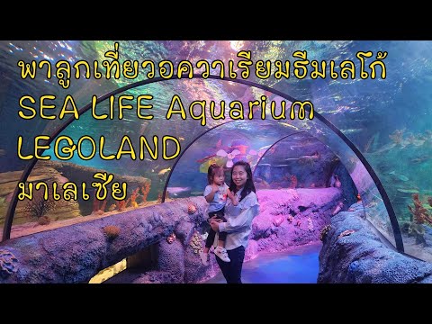 พาลูกเที่ยวอควาเรียมธีมเลโก้  SEA LIFE Aquarium LEGOLAND Malaysia Resort ที่ ยะโฮร์บาห์รู มาเลเซีย