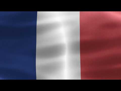 [10 Hours] Saint Martin Flag Waving - Video & Audio - Waving Flags