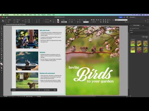 Generatively Expand Images in InDesign