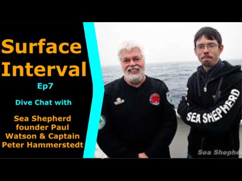 Sea Shepherd Joins us on Surface Interval 7, Saving the oceans with Paul Watson & Peter Hammerstedt