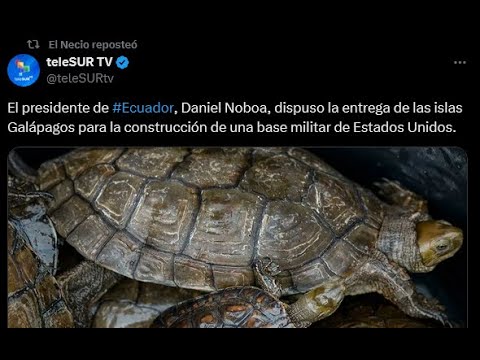 Ecuador: apagones, bandas criminales y ahora una base militar de EEUU en las Galápagos