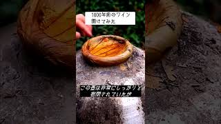 1000年前のワイン開けてみた