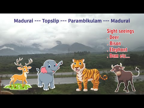 Topslip Jungle safari | Parambikulam tiger reserve | Wildlife tourism | Places to visit