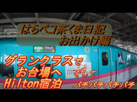 はらペコ茶くま日記　お出かけ編　グランクラスでHilton東京お台場へ！