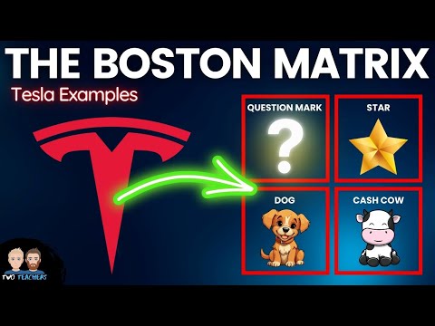 The Boston Matrix Explained | Tesla Examples