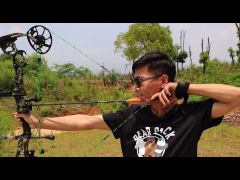 复合弓射箭基础知识撒放使用Basic knowledge of compound bow shooting