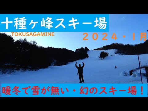 今年は幻だった？十種ヶ峰スキ－場レポ－ト　　No,1117