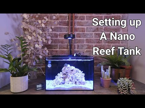 Setting Up A Reef Casa Studio 12 | Nano Reef Tank Setup Part 2