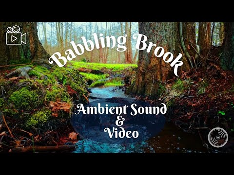 Listen to the Babbling Brook in a Magical Forest: Ambient Sound with Video