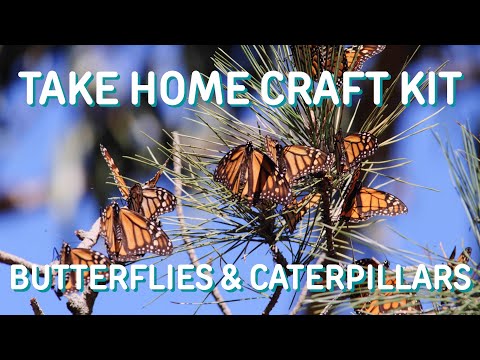 Take Home Craft Kit May 8th: Butterflies and Caterpillars