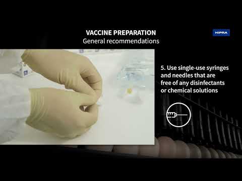 VIDEO STEPS FOR A UNIQUE COMBINATION OF IN-OVO VACCINES