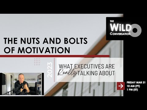 The Nuts and Bolts of Motivation | What Executives Are Really Talking About | The WiLD Conversation