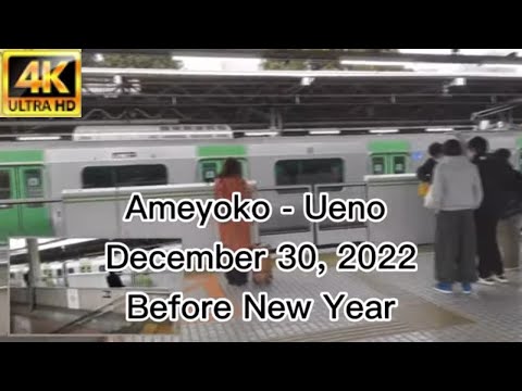 4K Be Careful In Ameyoko Tokyo on Dec. 30, 2022 - real situation, buying Tarabagani or giant Crabb