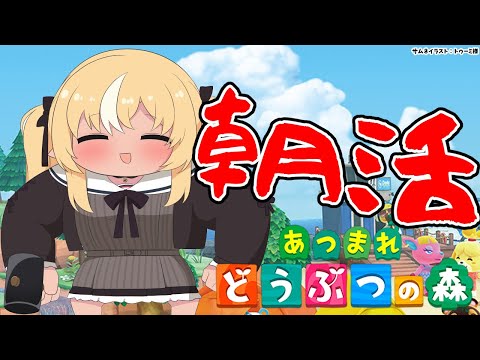 【あつまれ どうぶつの森】朝のハッピーホームデザイナーフレア🏠【不知火フレア/ホロライブ】