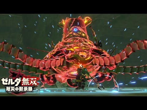 歴戦のリザルフォス vs 歴戦のガーディアン【ゼルダ無双 厄災の黙示録】【Hyrule Warriors】