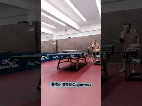 和黃教練直板聊天 #music #pingpongtable #tabletennis #tabletenniscute  #stiga